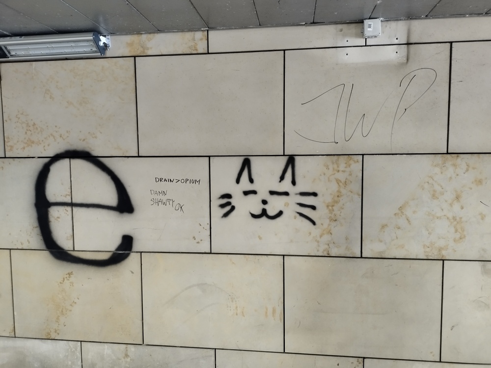 cat graffiti on wall:3