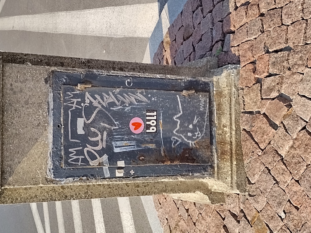 cat graffiti:3 on electrical box